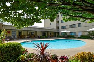 Luxurious image representing the pool side view of fountain bleau